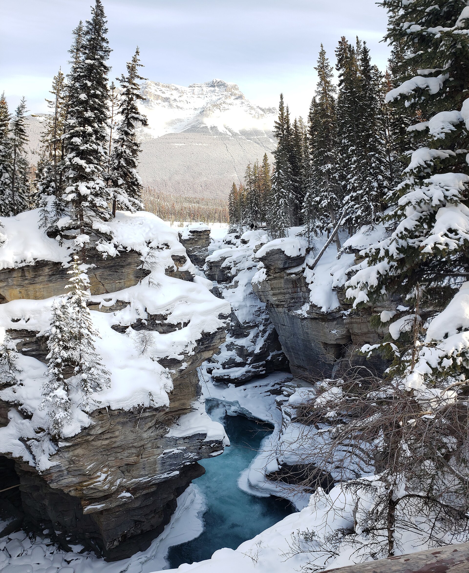 Athabasca Falls am Icefields Parkway