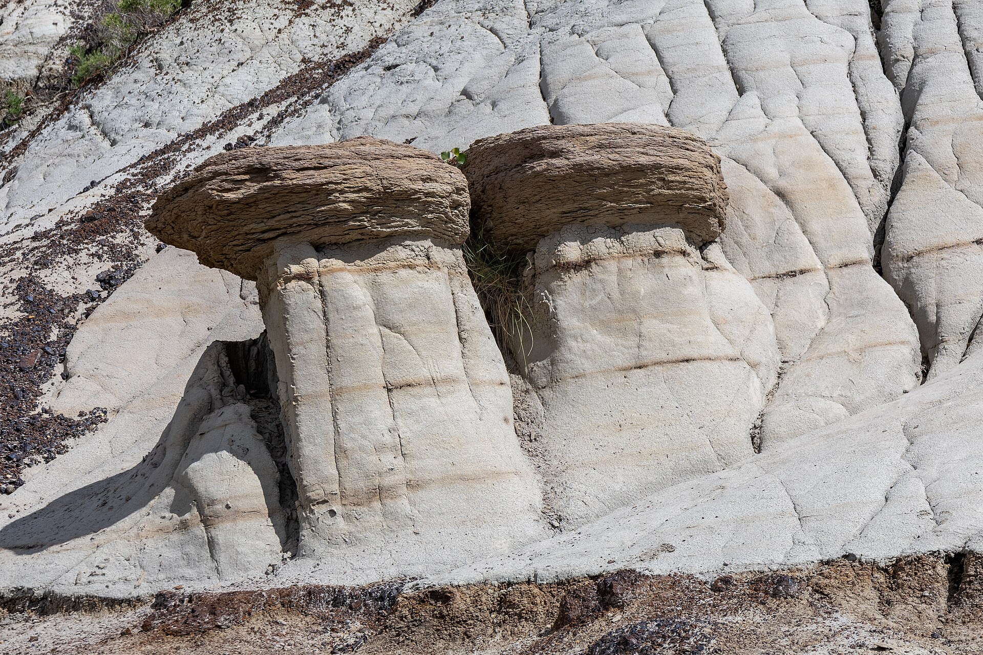 Hoodoos in den Badlands bei Drumheller