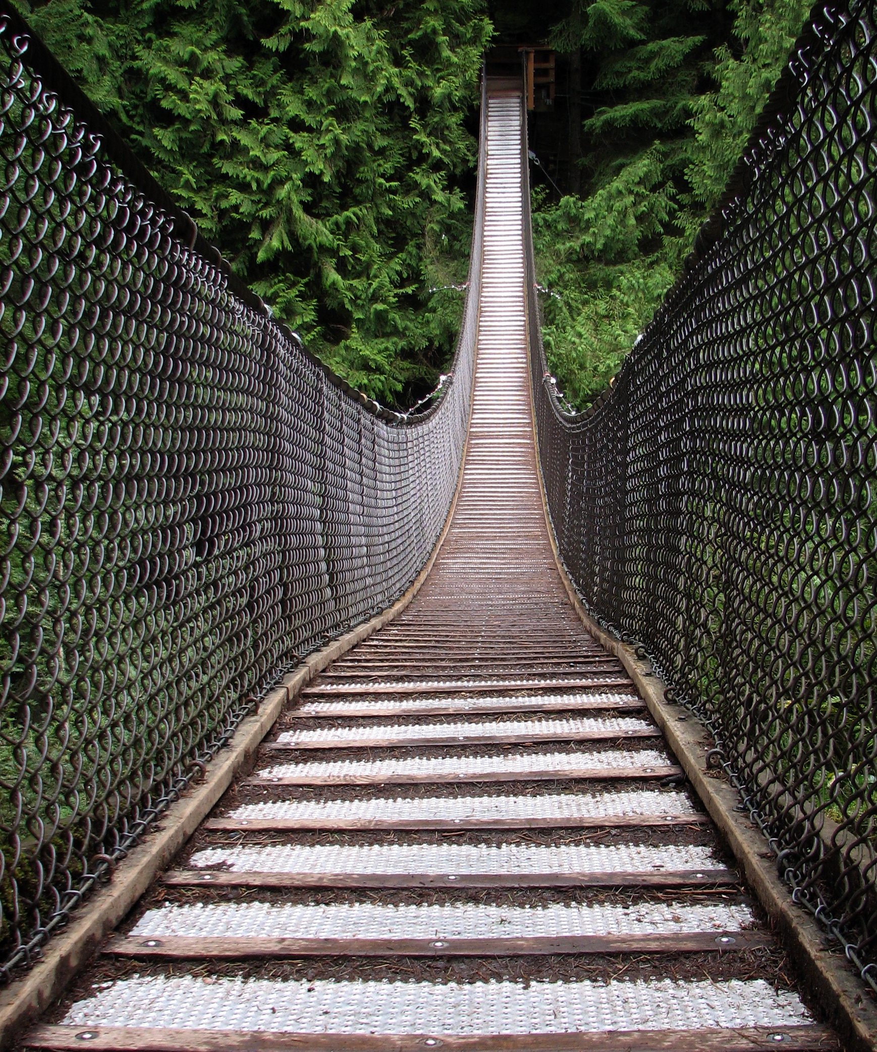 Lynn Canyon Suspension Bridge (gratis Alternative zu Capilano)