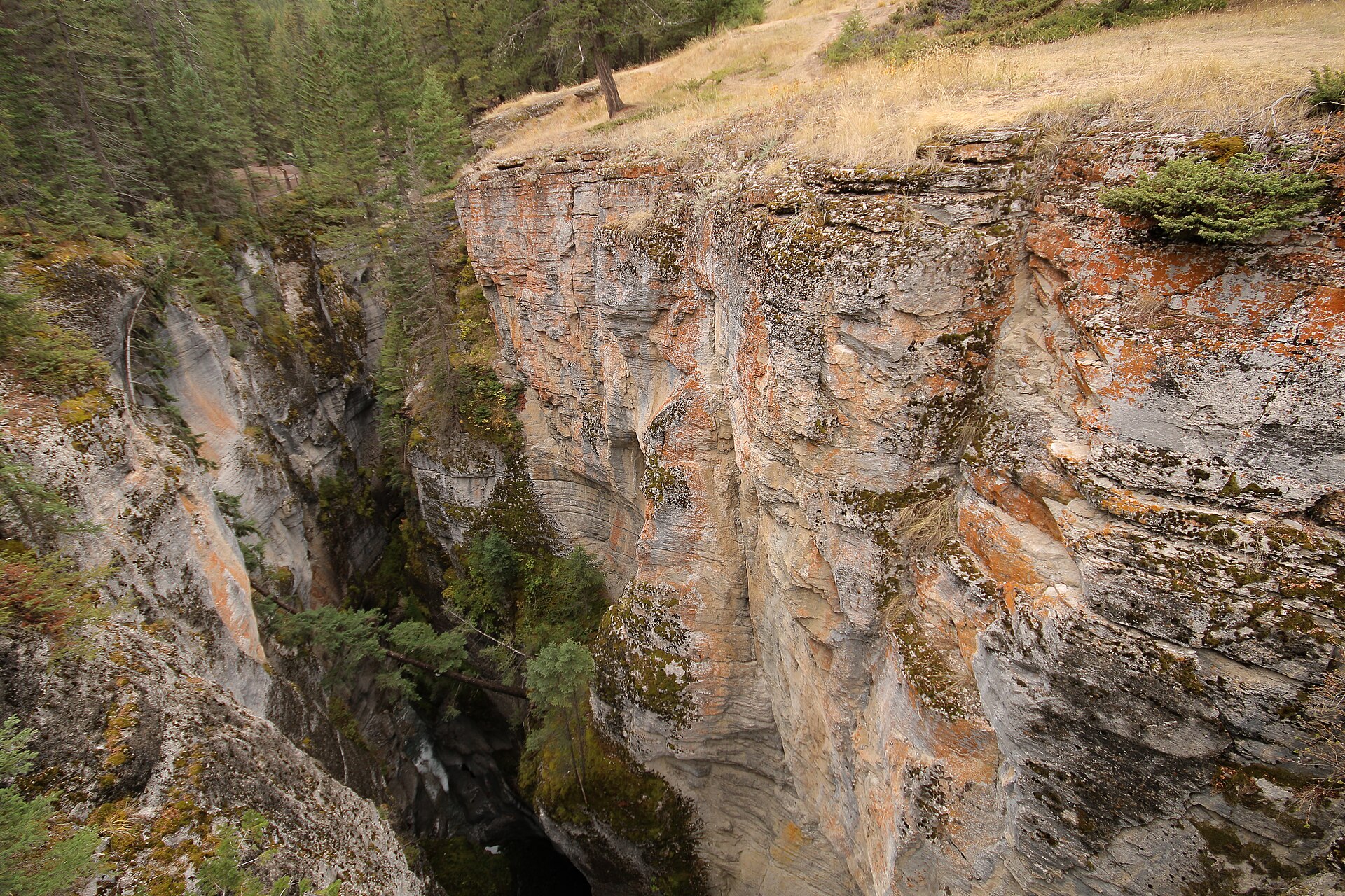 Maligne Canyon