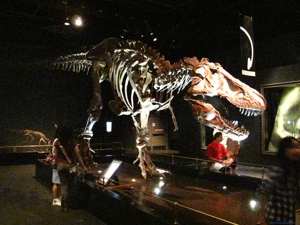 Royal Tyrrell Museum of Palaeontology in Drumheller