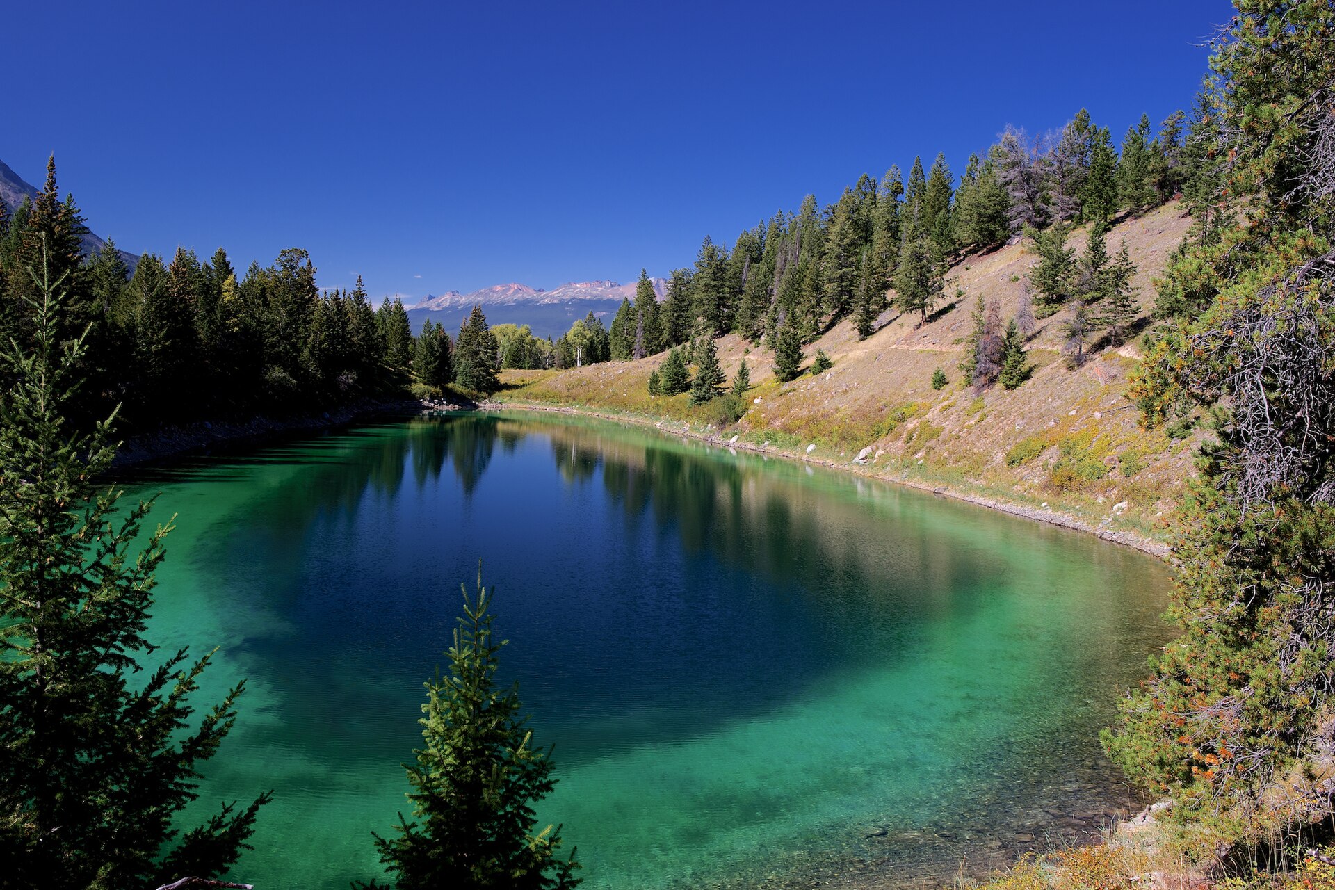 Valley of the Five Lakes bei Jasper