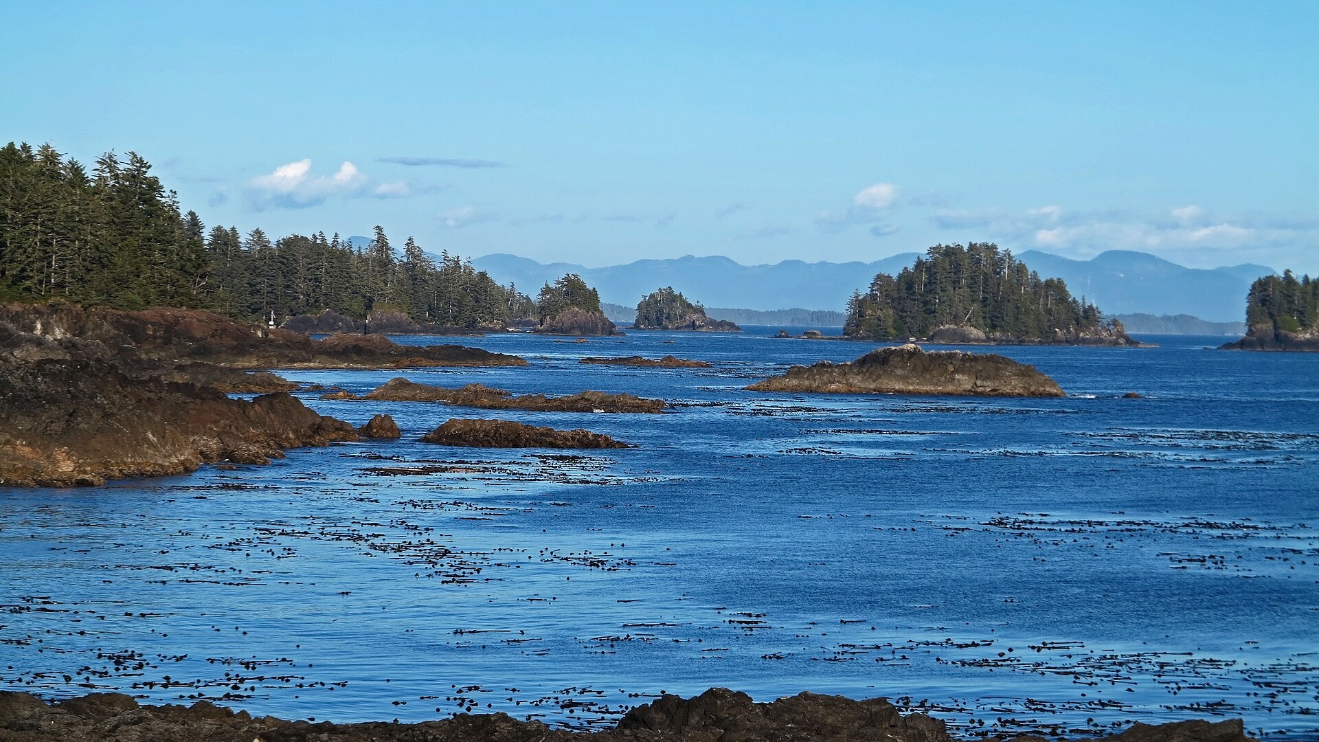 Wild Pacific Trail bei Ucluelet